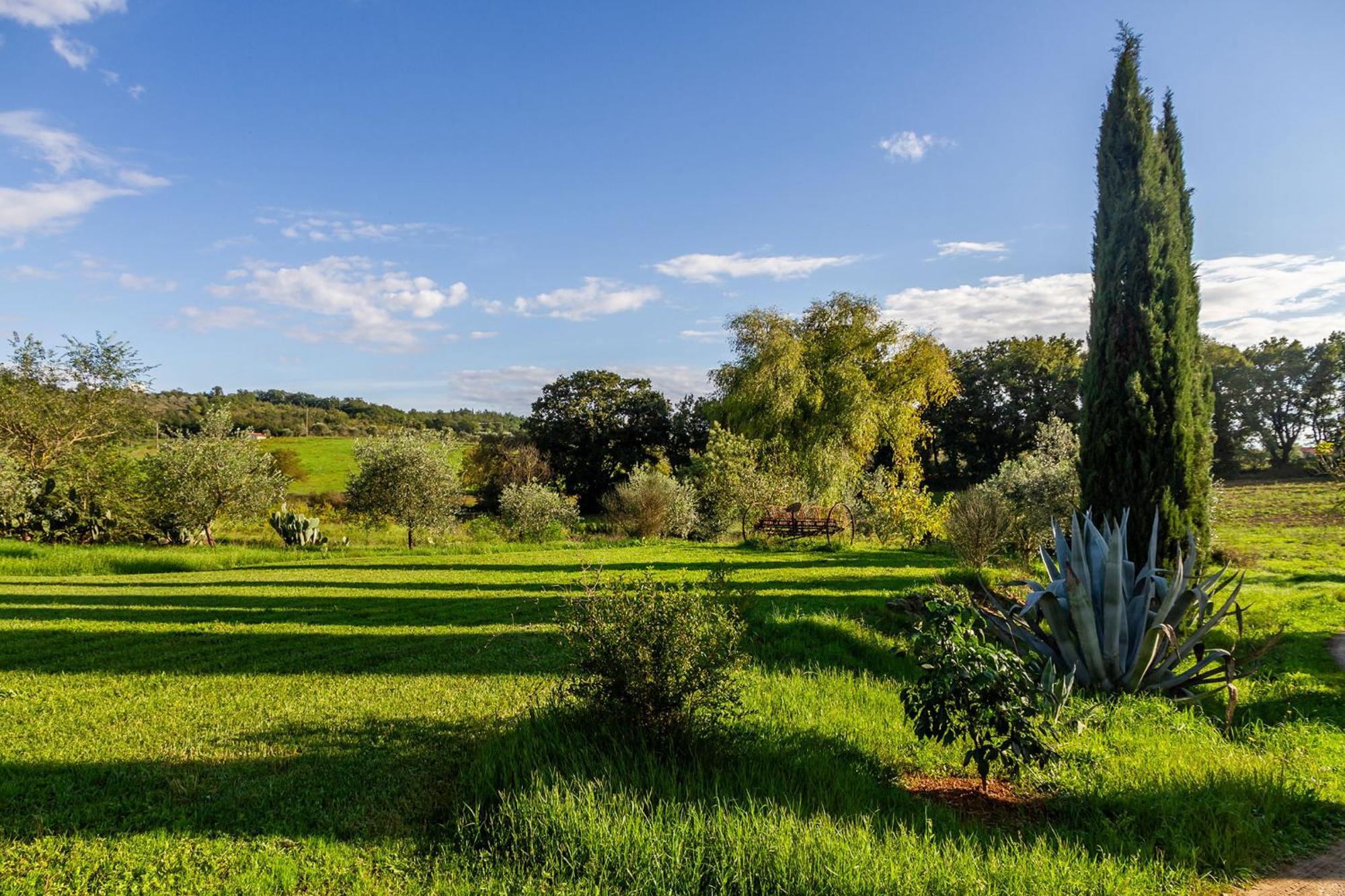 Agriturismo Bio Fattoria Casetta Gavorrano Exterior foto