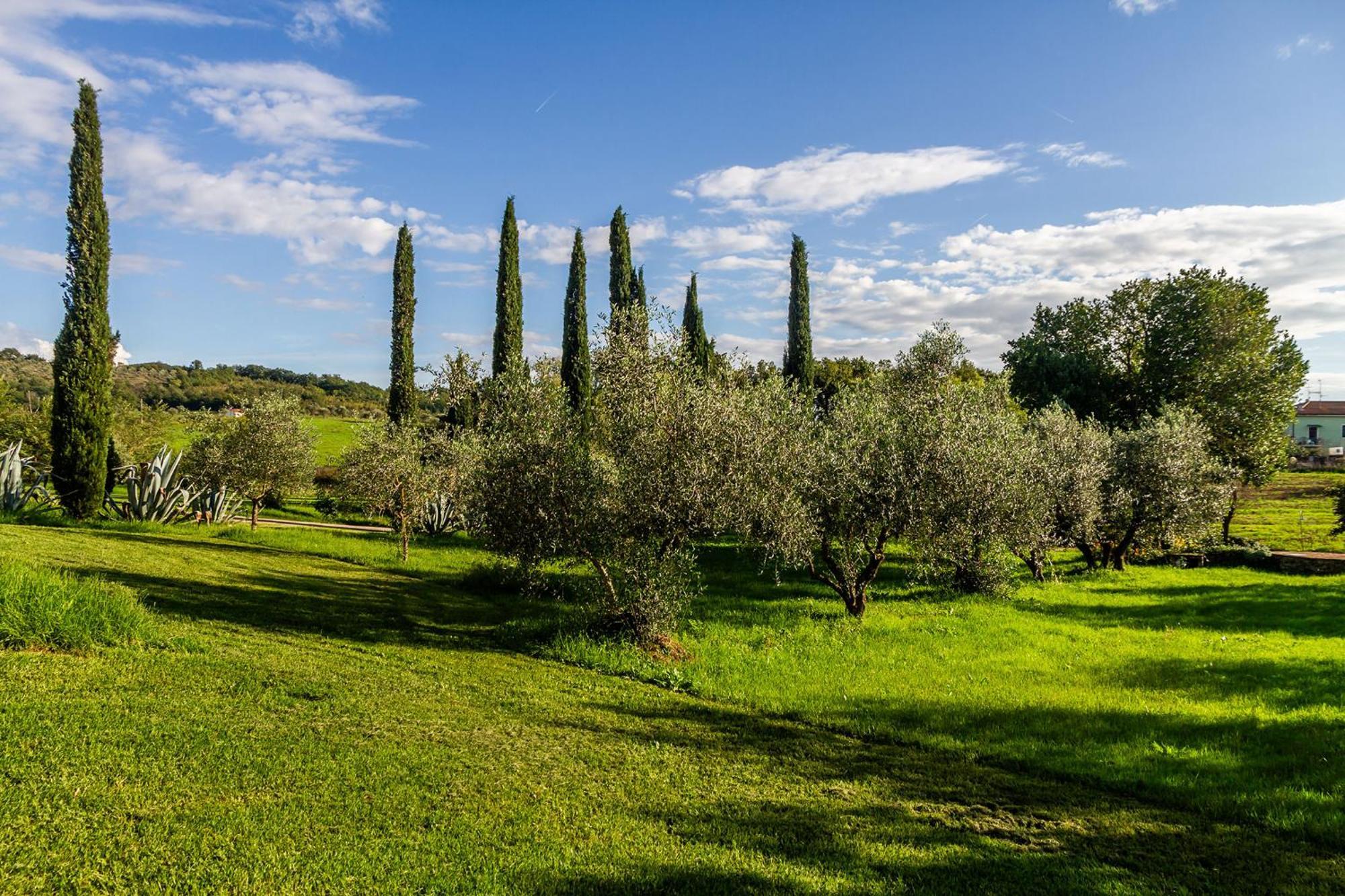 Agriturismo Bio Fattoria Casetta Gavorrano Exterior foto